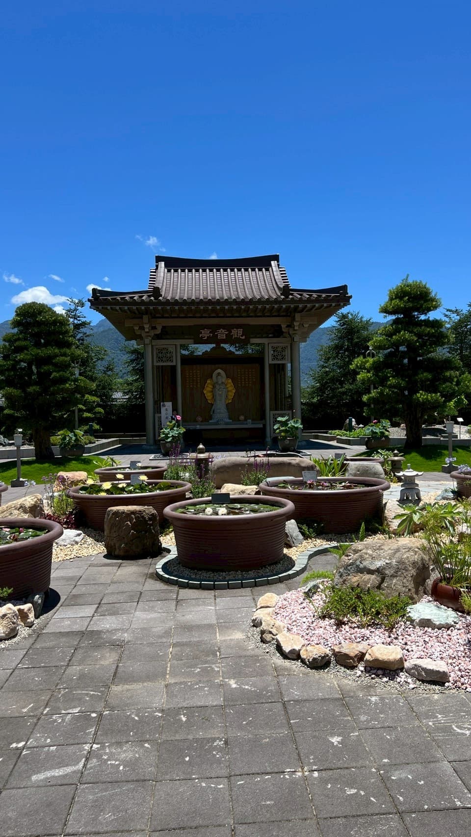 Day 9: Nantou Culture & Night Market Delights