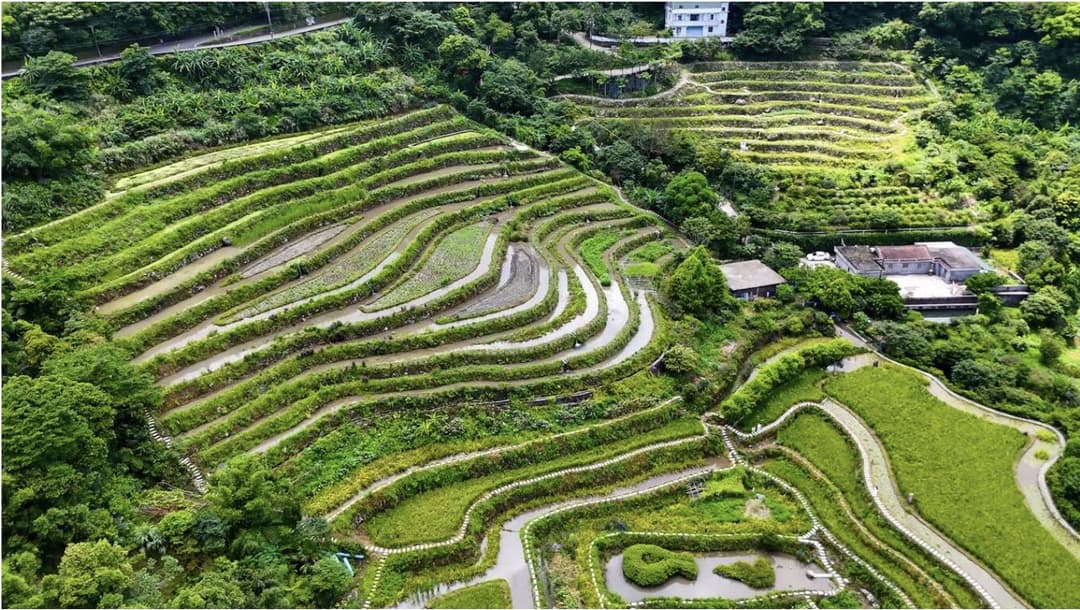 Day 3: Northern Coast: Where Sea Meets Sky