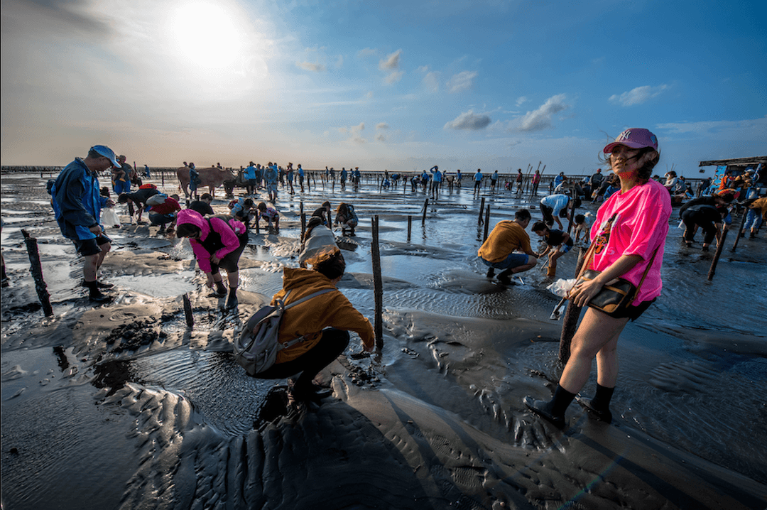 Day 6: Changhua: Coastal Ecology & Ancient Heritage