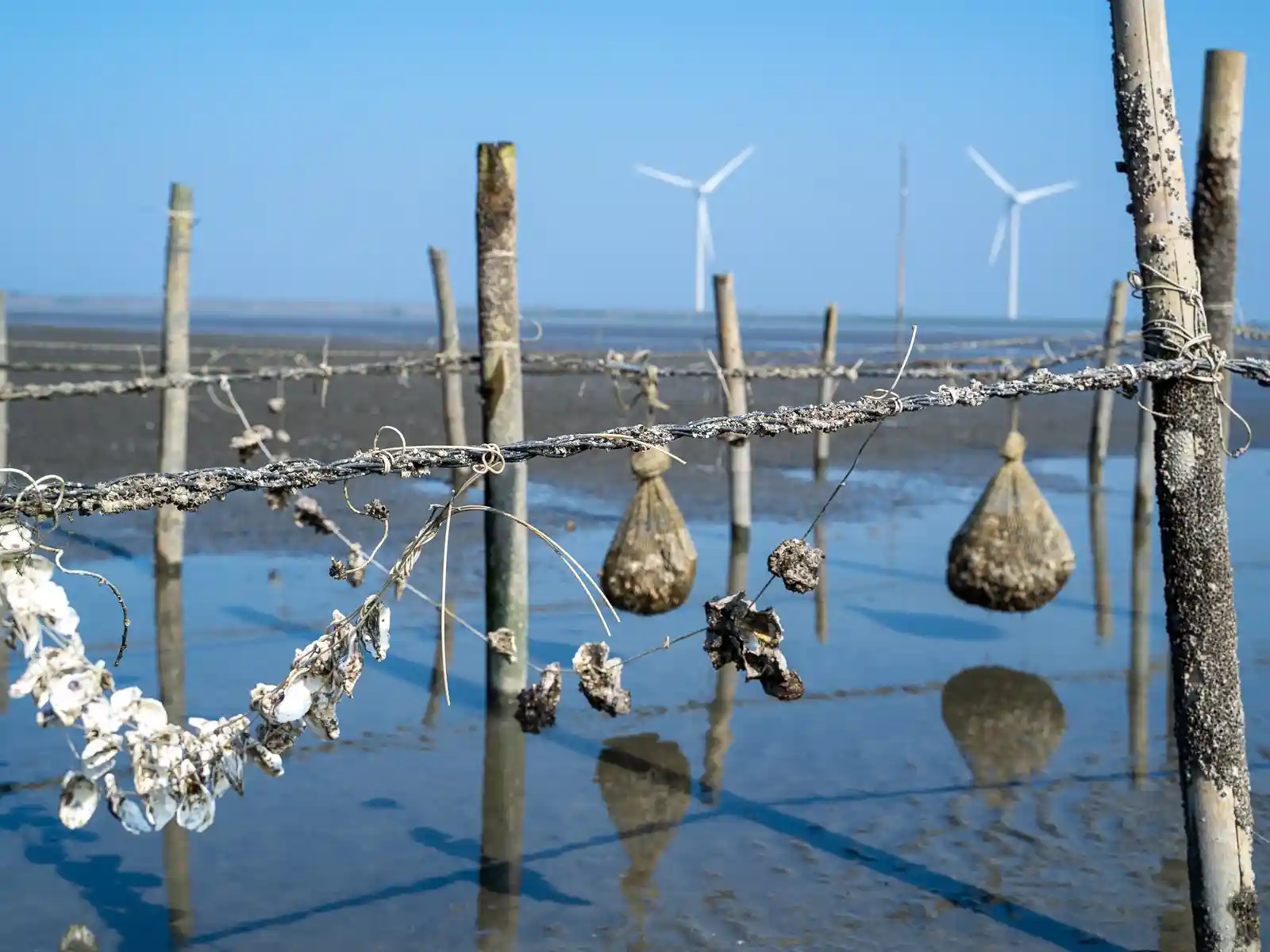 Day 6: Changhua: Coastal Ecology & Ancient Heritage