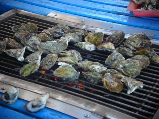 Day 6: Changhua: Coastal Ecology & Ancient Heritage