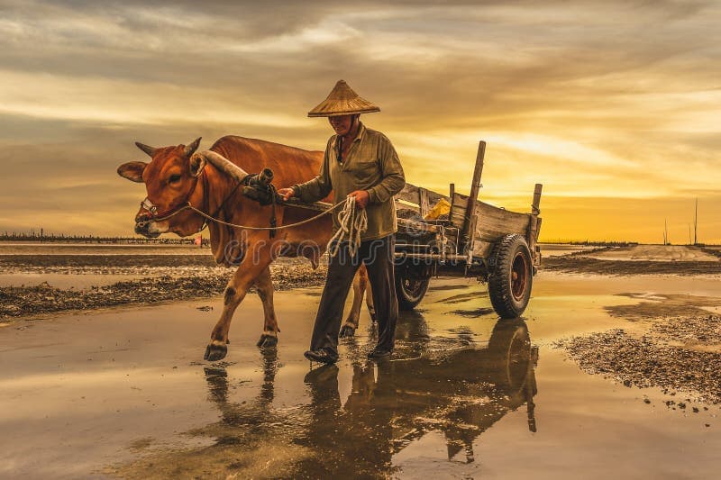 Day 6: Changhua: Coastal Ecology & Ancient Heritage